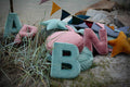 letter pillow b mint on sand on beach by Bettys home