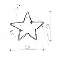 Velvet Star Cushion